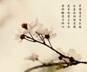 帶花的詩句古詩小學(xué),三年級帶花的詩句古詩,帶花的詩句古詩二年級