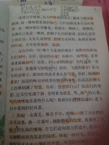 悼念德高望重老人的古詩(shī)句