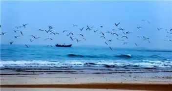 關(guān)于山東日照的詩句