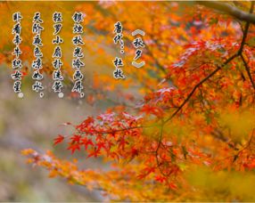 關(guān)于春天夏天秋天冬天的詩(shī)句,關(guān)于春天夏天秋天冬天的詩(shī)句古詩(shī)大全,描寫(xiě)春天夏天秋天冬天的詩(shī)句