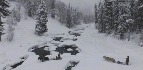 含有雪的古詩(shī)句,描寫(xiě)雪的詩(shī)句,千雪的古詩(shī)詩(shī)句