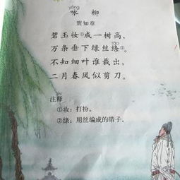 關(guān)于海與天的詩(shī)句