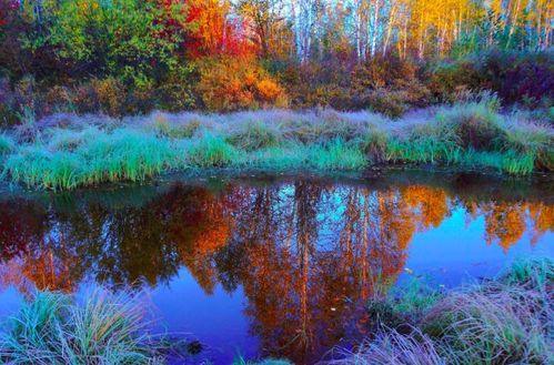 關(guān)于登山的古詩句,表達(dá)喜悅的古詩句,秋日登山的古詩句