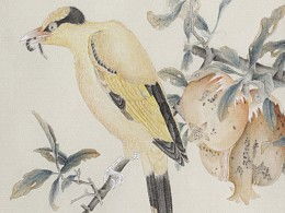 關(guān)于石榴和黃鸝的詩(shī)句