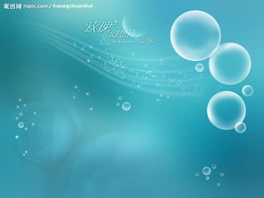 玫瑰古詩(shī)句