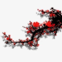關(guān)于的梅花的詩(shī)句