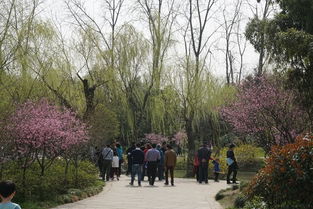 二十四橋的古詩句