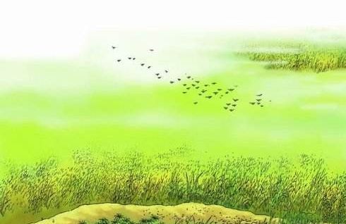 贊美春天的詩句大全,描寫春天的詩句大全,杜甫春天的詩句大全