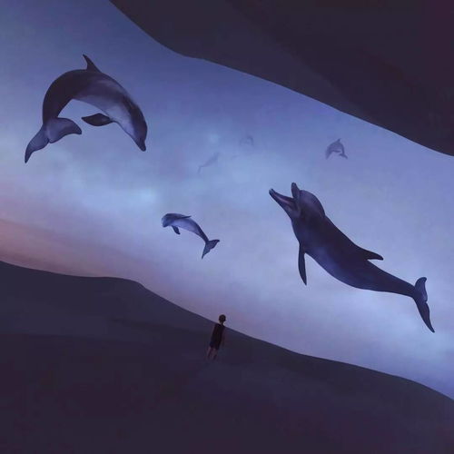 有關(guān)于鯨魚(yú)的詩(shī)句