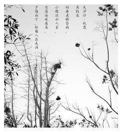 關(guān)于蘭州家鄉(xiāng)的詩(shī)句