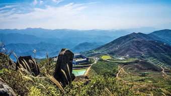 關(guān)于覆卮山的詩(shī)句