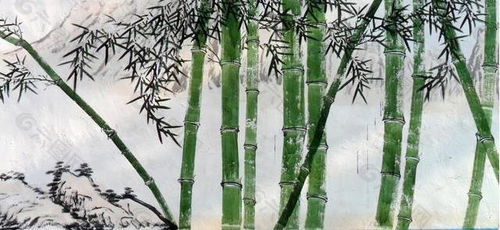 關(guān)于冬天的竹子的詩句古詩