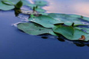 關(guān)于離情別緒的古詩句