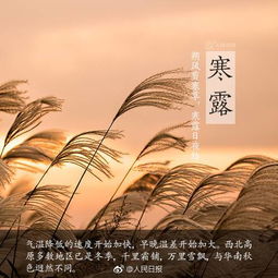 寒露,古詩(shī),詩(shī)句,景物