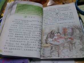 擬人修辭手法的古詩(shī)句