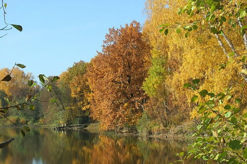 古詩,詩句,描寫,秋天