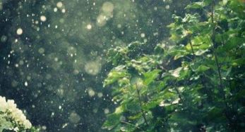 與關于雨的詩句有哪些