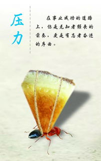 詩(shī)句,勵(lì)志,理想