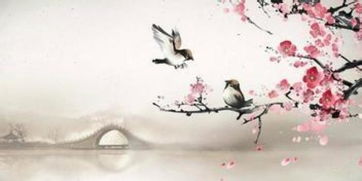 詩句,楊柳,春風(fēng)