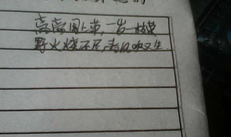 風(fēng)字的古詩句