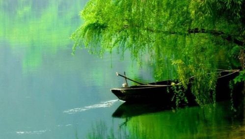 古詩(shī),詩(shī)句,池塘