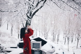 關(guān)于江南的雪的詩句