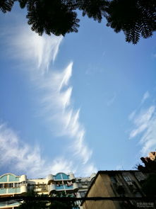 冬天藍(lán)天白云的古詩(shī)句