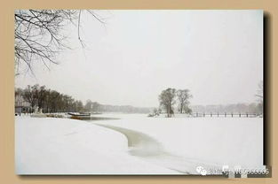 含有雪的詩句古詩大全