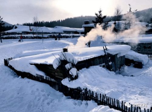 關(guān)于尋覓的詩(shī)句