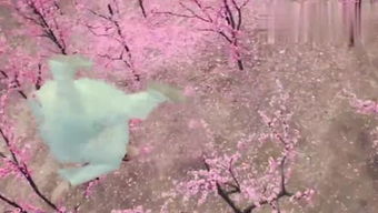 關(guān)于桃花的搞笑詩句大全