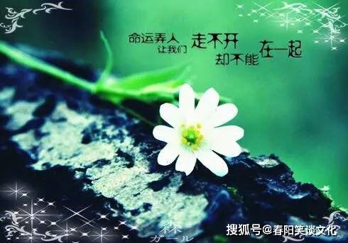 關(guān)于頭發(fā)的感情詩(shī)句
