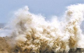 錢(qián)塘江邊的弄潮兒,錢(qián)塘江弄潮兒,錢(qián)塘江弄潮兒的描寫(xiě)