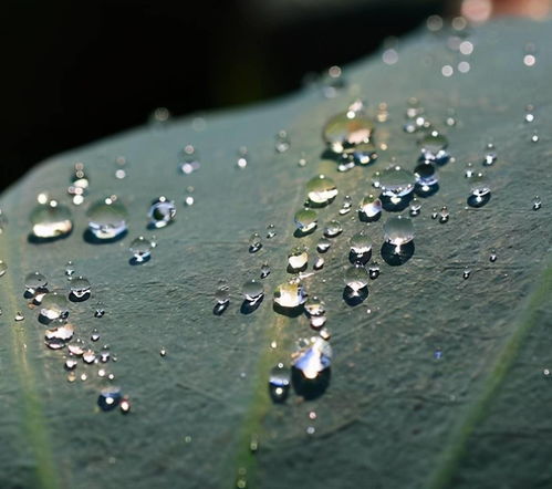 關(guān)于新月的古詩(shī)句,關(guān)于新月美好的古詩(shī)句,描寫新月的古詩(shī)句