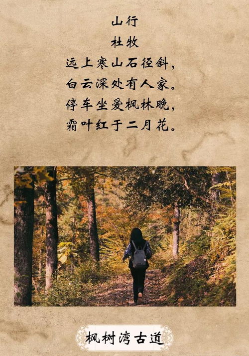 云和,詩(shī)句,相關(guān)