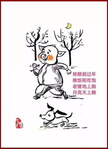 關(guān)于豬的短詩句