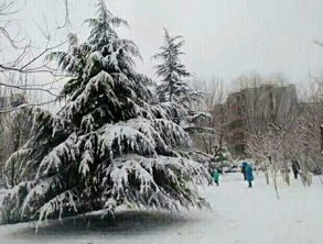 關(guān)于自創(chuàng)冬天的詩句