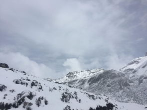 關(guān)于邊塞思鄉(xiāng)的詩句