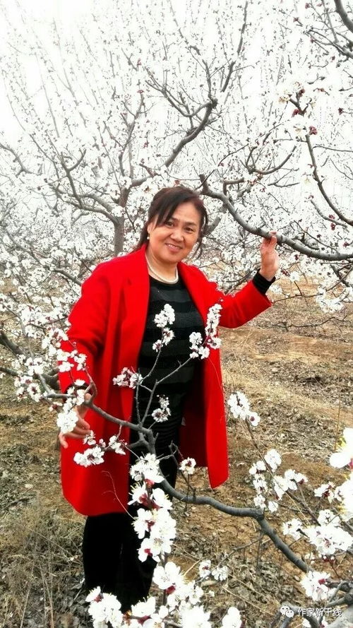 關(guān)于黃玫瑰的詩(shī)句