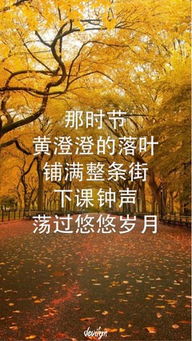 蘆花,詩句,秋季,贊美