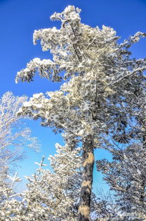 高山峻嶺,詩(shī)句,描寫