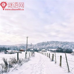 有關(guān)雪花的古詩(shī)句