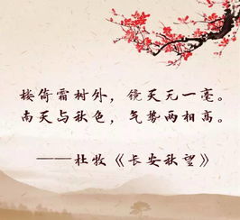 古詩(shī)詞帶路的詩(shī)句