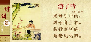 關于慈母的詩句有哪些