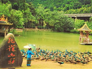 關(guān)于描寫(xiě)西雙版納的詩(shī)句