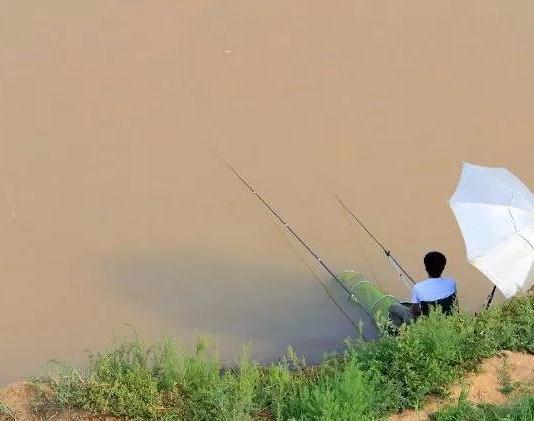 描寫秋天的詩(shī)句,關(guān)于夏轉(zhuǎn)秋天的詩(shī)句,描夏秋天的詩(shī)句