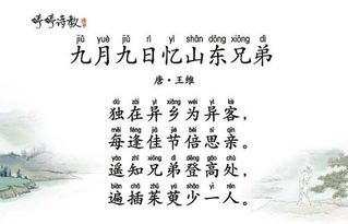 關(guān)于9月9日的詩句的詩句是什么意思是什么