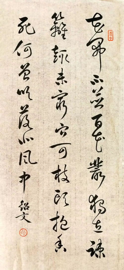關(guān)于宋朝的菊花詩(shī)句