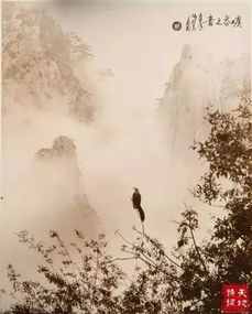 詩句,簡(jiǎn)陋,描寫,生活