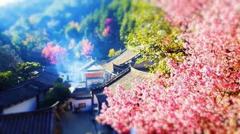 帶有人的古詩(shī)句,寫(xiě)出帶月的古詩(shī)句,兩句帶月的古詩(shī)句