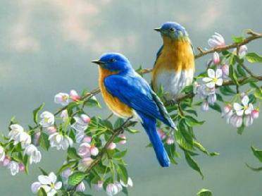 讓人,詩句,保護(hù)